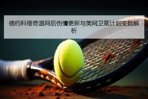 德约科维奇温网后伤情更新与美网卫冕计划变数解析